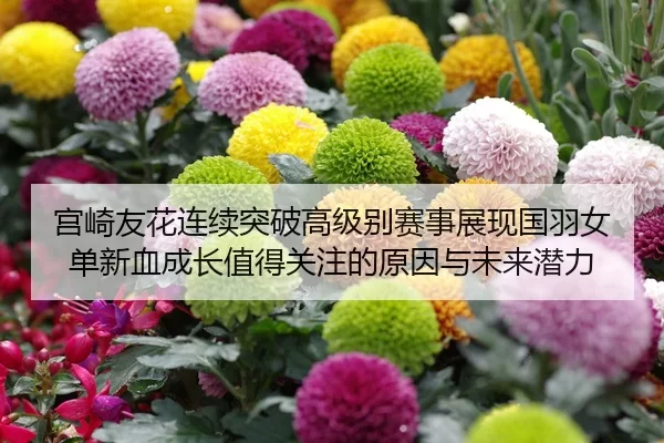 宫崎友花连续突破高级别赛事展现国羽女单新血成长值得关注的原因与未来潜力