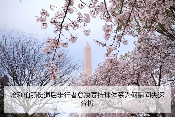 哈利伯顿伤退后步行者总决赛持球体系为何瞬间失速分析