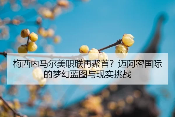 mei-xi-nei-ma-er-mei-zhi-lian-zai-ju-shou-mai-a-mi-guo-ji-de-meng-huan-lan-tu-yu-xian-shi-tiao-zhan-2-348.jpg
