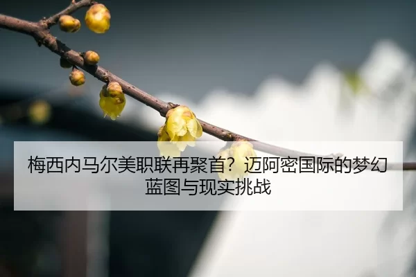 mei-xi-nei-ma-er-mei-zhi-lian-zai-ju-shou-mai-a-mi-guo-ji-de-meng-huan-lan-tu-yu-xian-shi-tiao-zhan-3-365.jpg