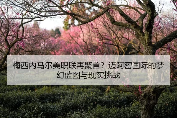 梅西内马尔美职联再聚首？迈阿密国际的梦幻蓝图与现实挑战